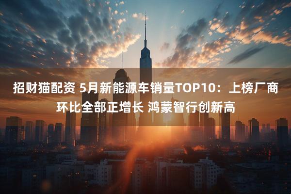 招财猫配资 5月新能源车销量TOP10：上榜厂商环比全部正增长 鸿蒙智行创新高