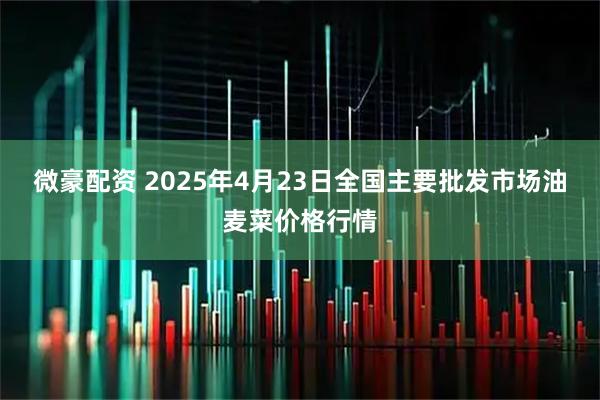 微豪配资 2025年4月23日全国主要批发市场油麦菜价格行情