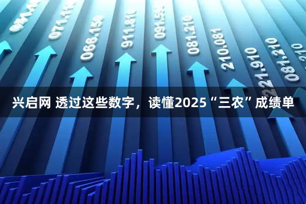 兴启网 透过这些数字，读懂2025“三农”成绩单