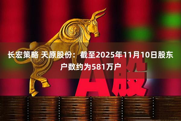 长宏策略 天原股份：截至2025年11月10日股东户数约为581万户